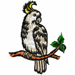 Parrots Embroidery Design 12